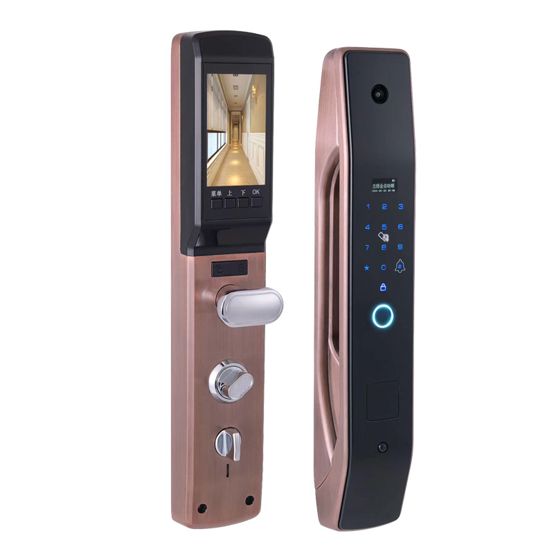 HanDaily Easy to Install Intel - Smart Home Door Lock recension och pris